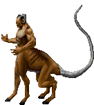 Download de GIFs do Mortal Kombat Para MSN Messenger