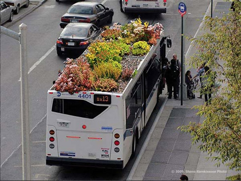 Plantas no Teto dos Ônibus Contra o Aquecimento Global Plantas no Teto dos Ônibus Contra o Aquecimento Global