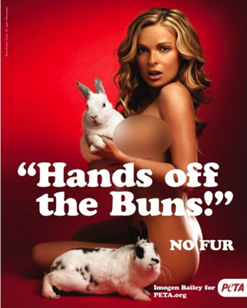 Celebridades Nuas em Campanha a Favor dos Animais Celebridades Nuas em Campanha a Favor dos Animais