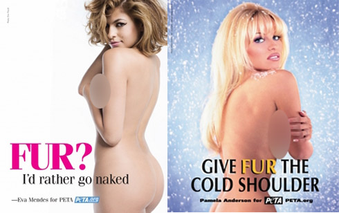 Celebridades Nuas em Campanha a Favor dos Animais Celebridades Nuas em Campanha a Favor dos Animais