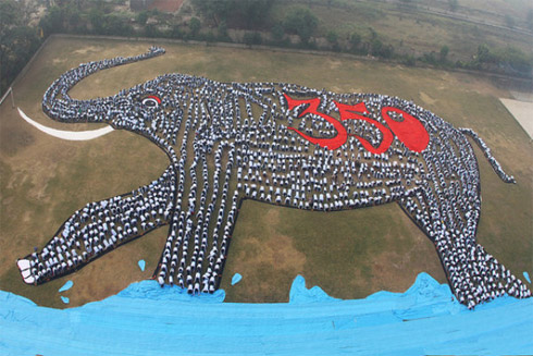 Fotos de Instalações Artísticas Vistas do Espaço