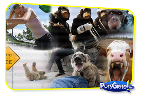 O Que Acontece Quando Animais Se Comportam Como Humanos?