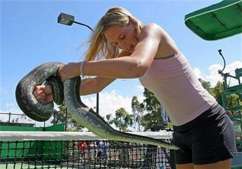 O Que Acontece Quando Animais Se Comportam Como Humanos?