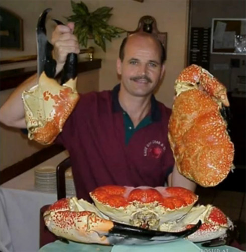 Animais Gigantes pelo Mundo
