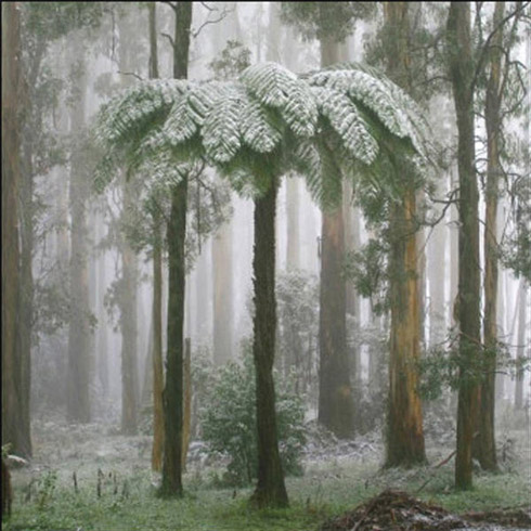 Calendário com Fotos de Fenômenos Naturais na Austrália