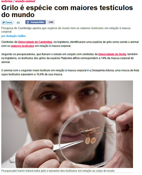 Notícias Griladas #1