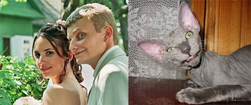 Fotos de Pessoas e Animais Gêmeos
