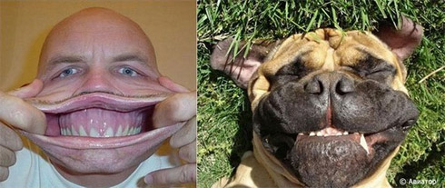 Fotos de Pessoas e Animais Gêmeos