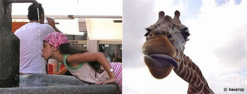 Fotos de Pessoas e Animais Gêmeos