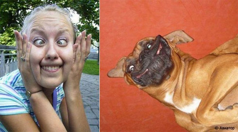 Fotos de Pessoas e Animais Gêmeos