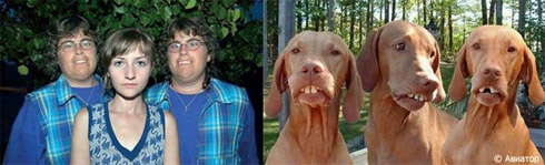 Fotos de Pessoas e Animais Gêmeos