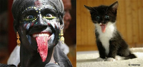 Fotos de Pessoas e Animais Gêmeos