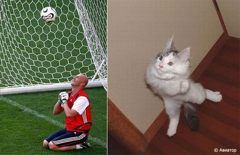 Fotos de Pessoas e Animais Gêmeos