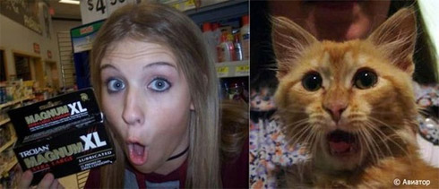 Fotos de Pessoas e Animais Gêmeos