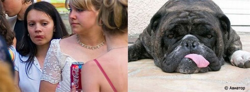 Fotos de Pessoas e Animais Gêmeos