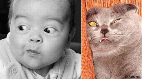 Fotos de Pessoas e Animais Gêmeos