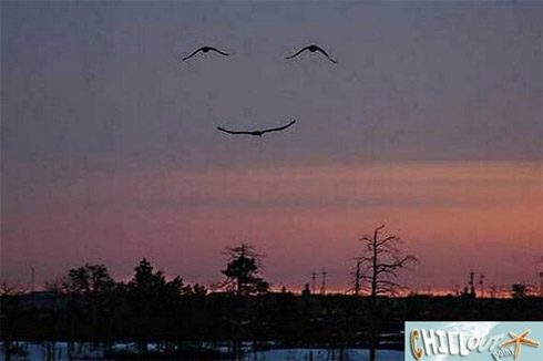 Fotos Divertidas de Ângulos Inusitados