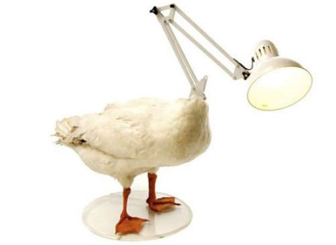 As Luminárias e Abajures Mais Descolados que Você Já Viu