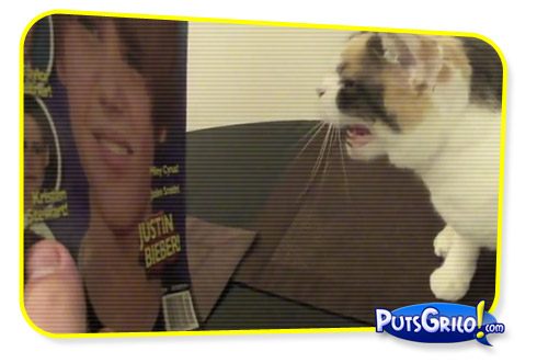 Gatos Odeiam Justin Bieber [Vídeo]