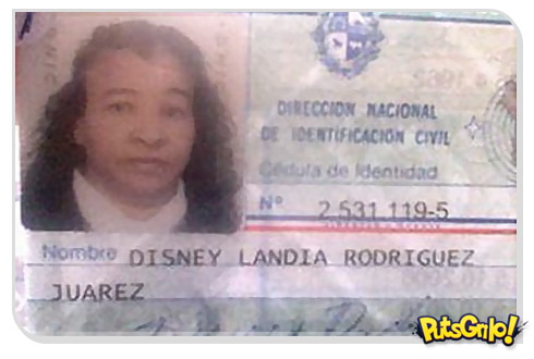 Disney Landia