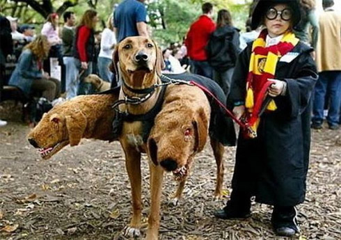 Carnaval: Fantasias Bizarras e Estranhas