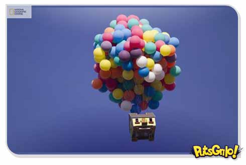 National Geographic faz casa voar com balões