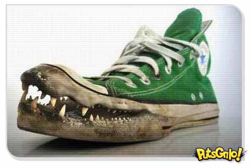 Moda: Sapatos bizarros