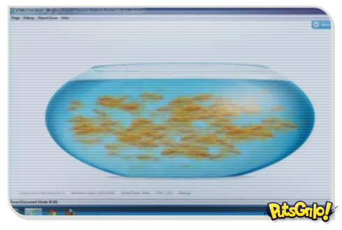 Download: Internet Explorer 10