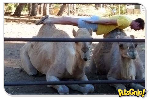 fotos planking