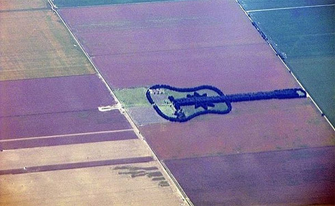 Violão gigante feito de árvores