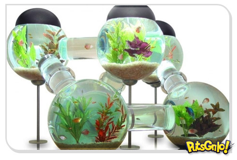 Design: Aquário-condomínio