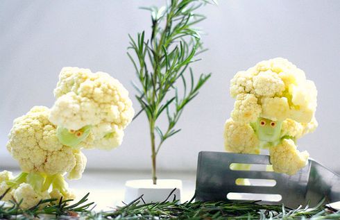 brincando com a comida vanessa dualib