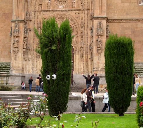 intervenções urbanas filthy lukerint