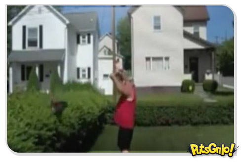 Jardinagem like a boss