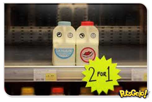 História de amor de caixas de leite é propaganda de reciclagem