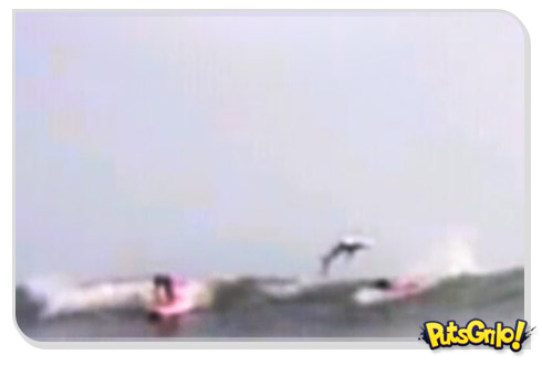 Tubarão salta no meio de 2 surfistas