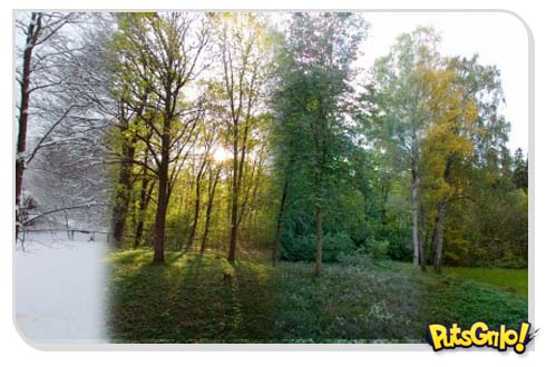 Artista mostra um ano em 90 segundos