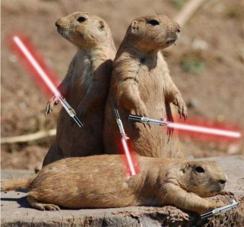 Montagens de animais com sabres de luz