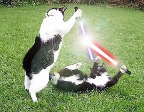 Montagens de animais com sabres de luz