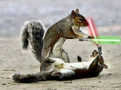 Montagens de animais com sabres de luz