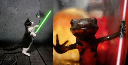Montagens de animais com sabres de luz