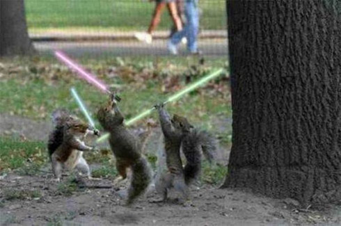 Montagens de animais com sabres de luz