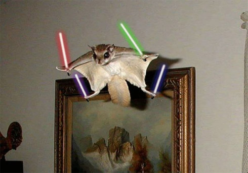 Montagens de animais com sabres de luz