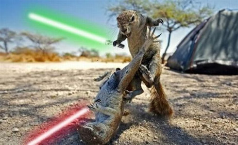Montagens de animais com sabres de luz