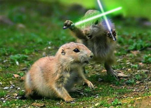 Montagens de animais com sabres de luz