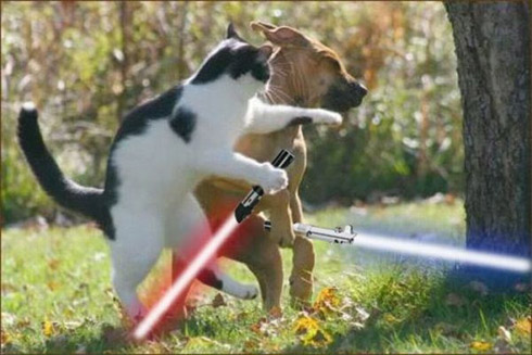 Montagens de animais com sabres de luz