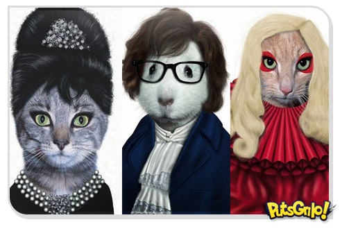 Celebridades e animais: Cara de um, focinho do outro