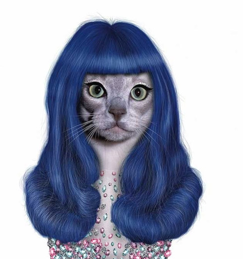 Celebridades e animais: Cara de um, focinho do outro
