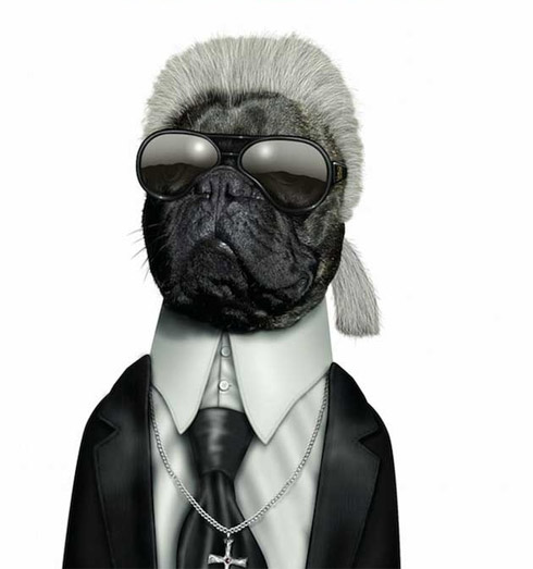 Celebridades e animais: Cara de um, focinho do outro