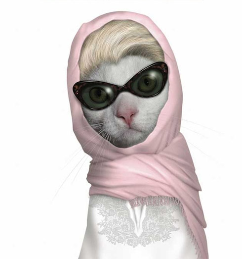 Celebridades e animais: Cara de um, focinho do outro